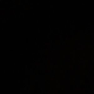 Meet your Posher, Danny